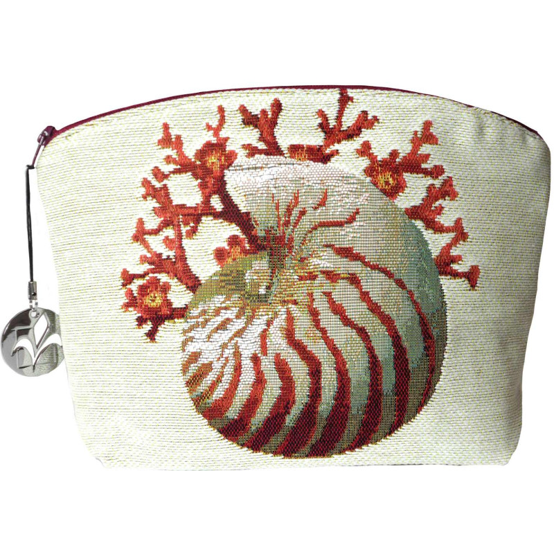 5159C  : Coraux et coquillages, fond blanc