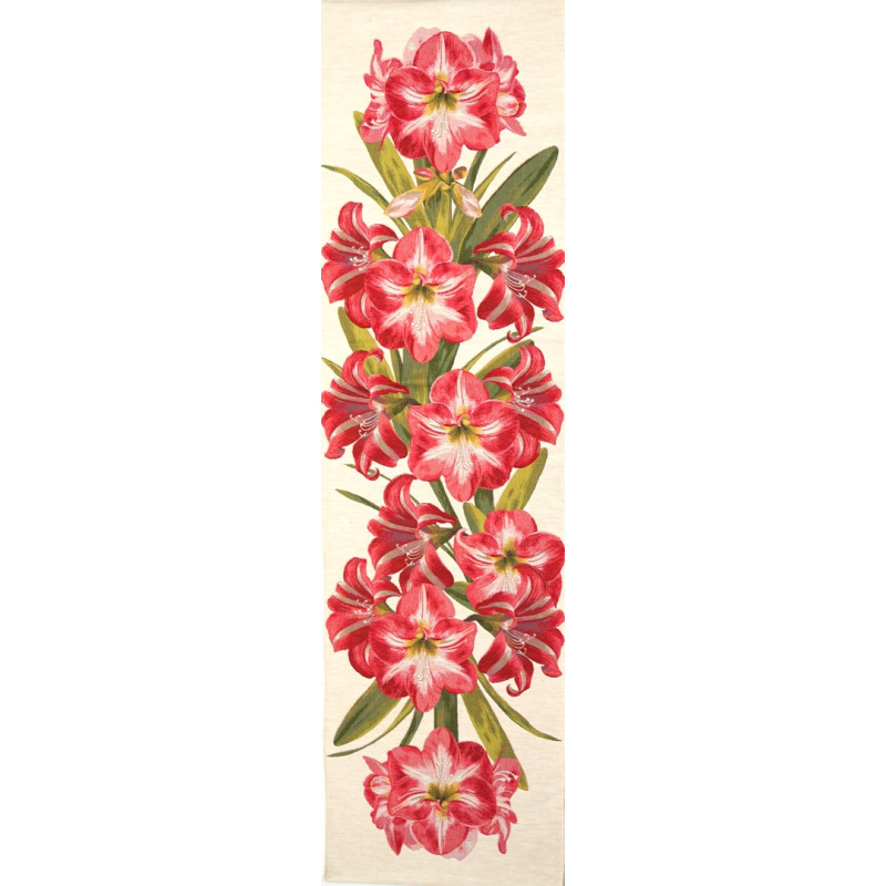 5317C  : Amaryllis , fond blanc