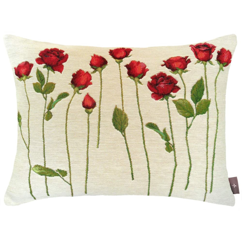 5423B  : Roses sur tige, fond blanc