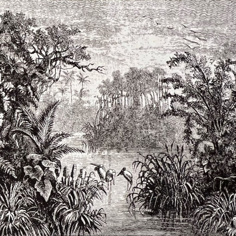 tapisserie jungle aux oiseaux carré