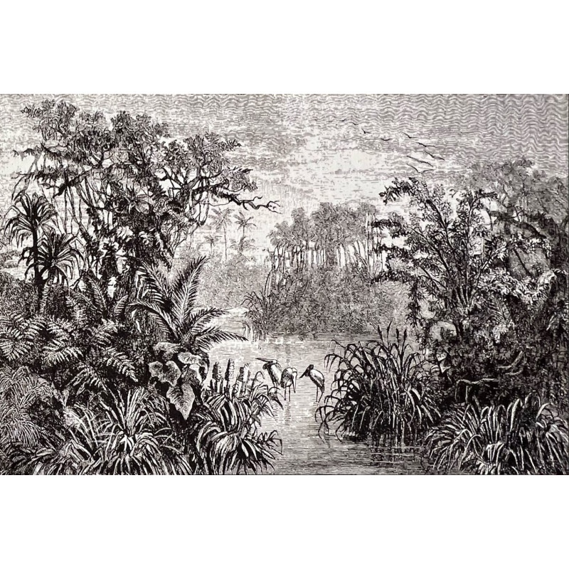 Tapisserie Jungle aux oiseaux
